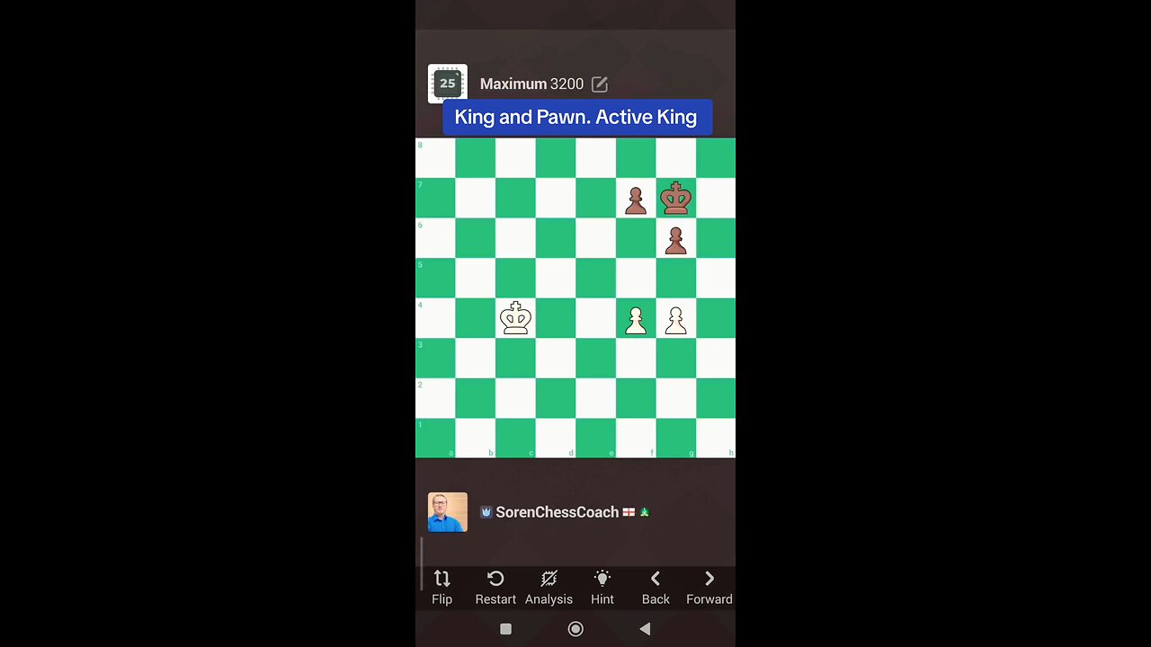 King and Pawn. Active King