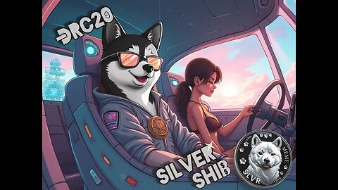 Cruis’n K9