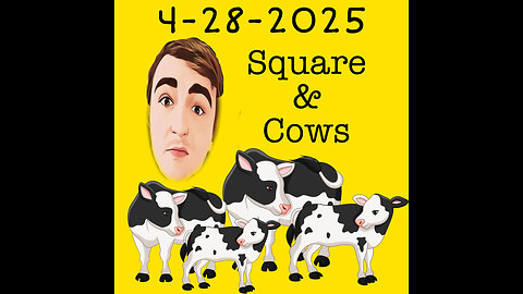 4-28-2025 Square & Cows