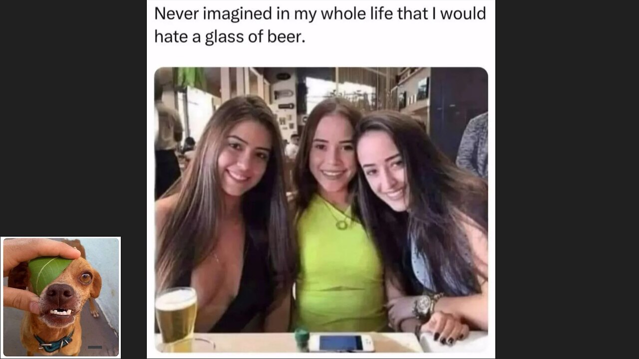 Memes That Will 99.0291% Make You Laugh. (e515)