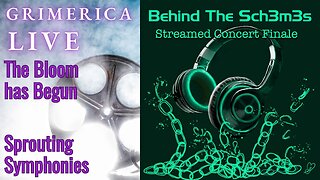 Behind The Sch3m3s - The Satellite Spotlight - Sprouting Symphonies
