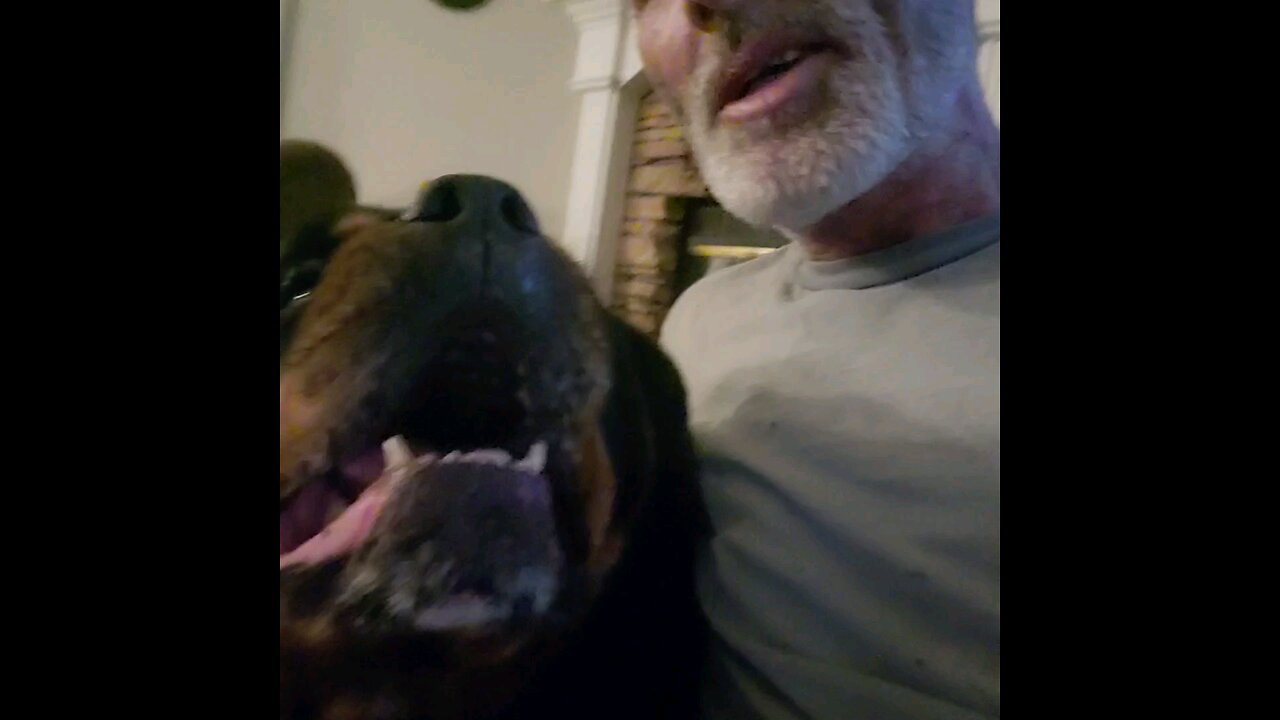 Rottweiler Kisses