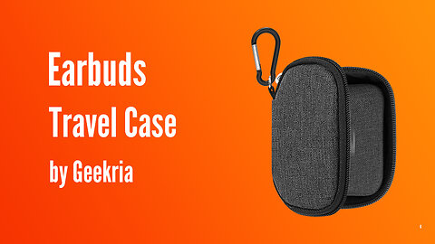 Earbuds Travel Case | Geekria