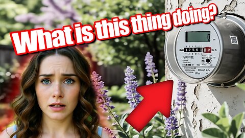 Are Smart Meters SABOTAGING US?