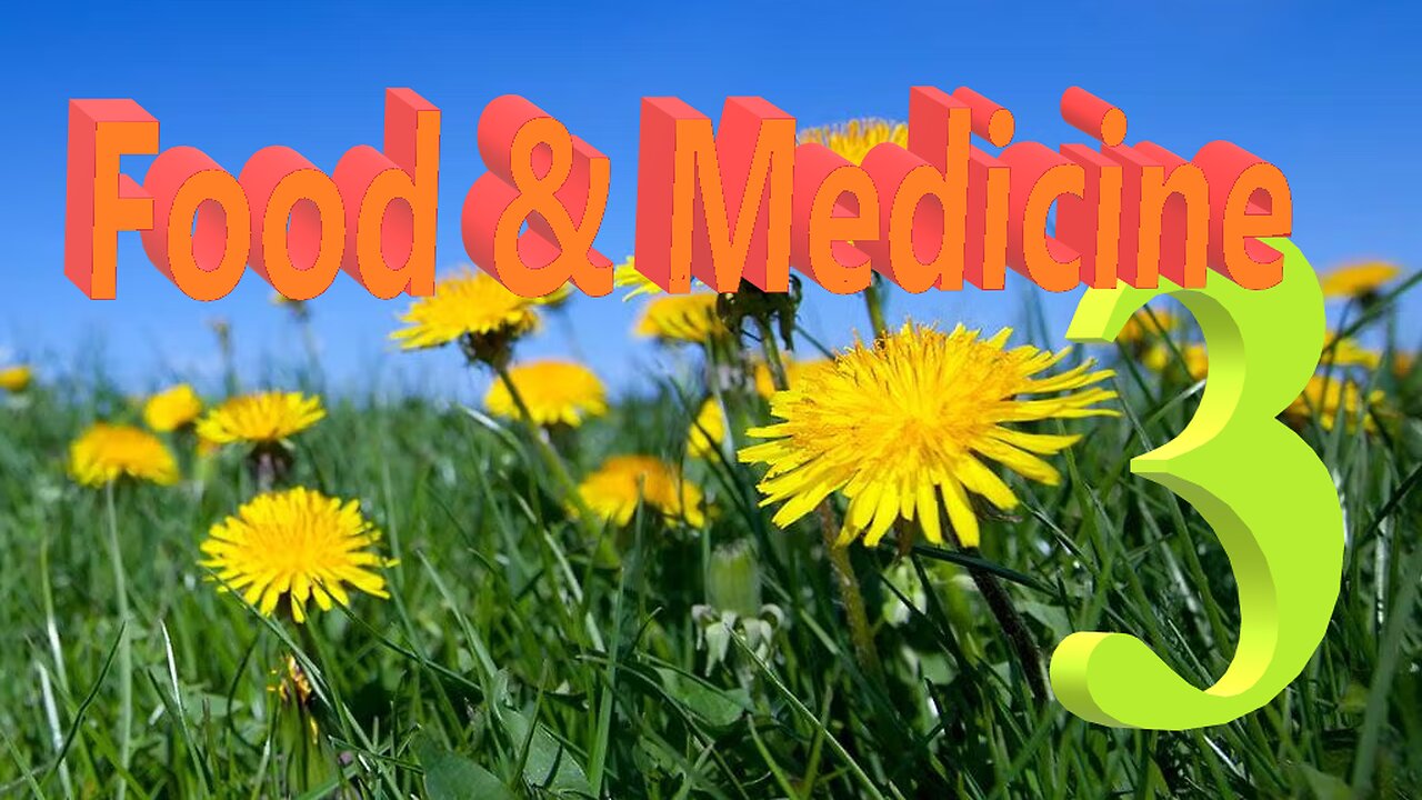 Food & Medicine 3