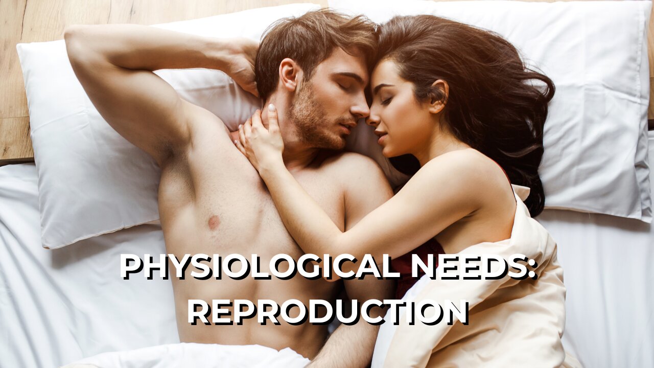 LOG#59 – Maslow: Physiological Needs - Reproduction