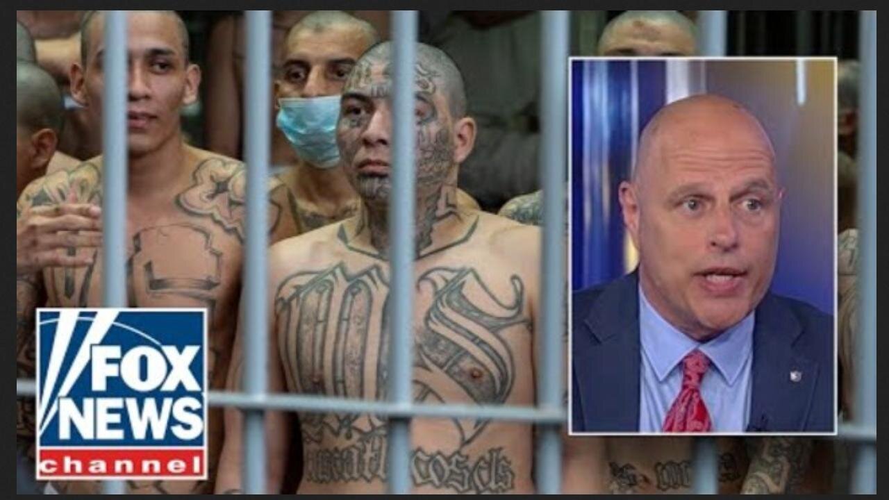'NONSENSE': Border Patrol advisor RIPS DEMS who visited El Salvador 4/29/25