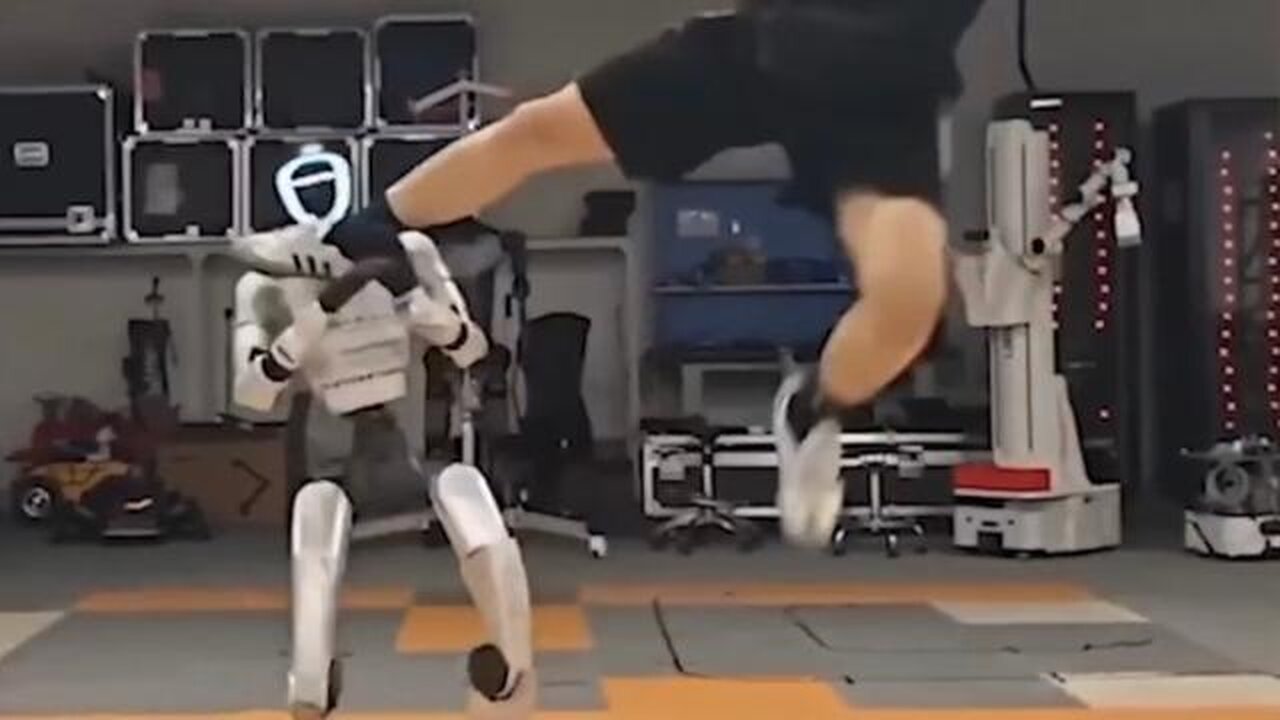They won't stay down! KUNG FU Robots -- AFFORDABLE and Programmable