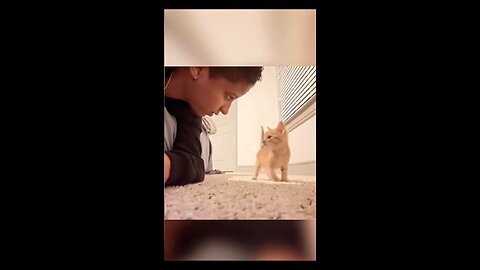world's best Dramebaaz cat
