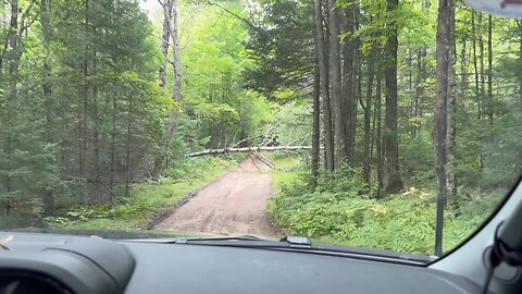 Tree down on our way to the Off Grid