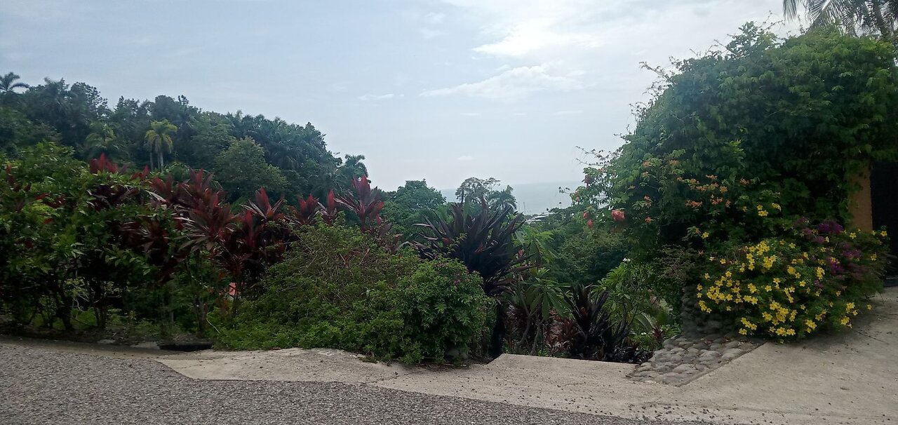 My experience with SNAKES in COSTA RICA (Quepos)