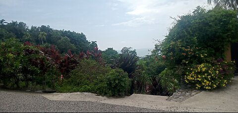 My experience with SNAKES in COSTA RICA (Quepos)