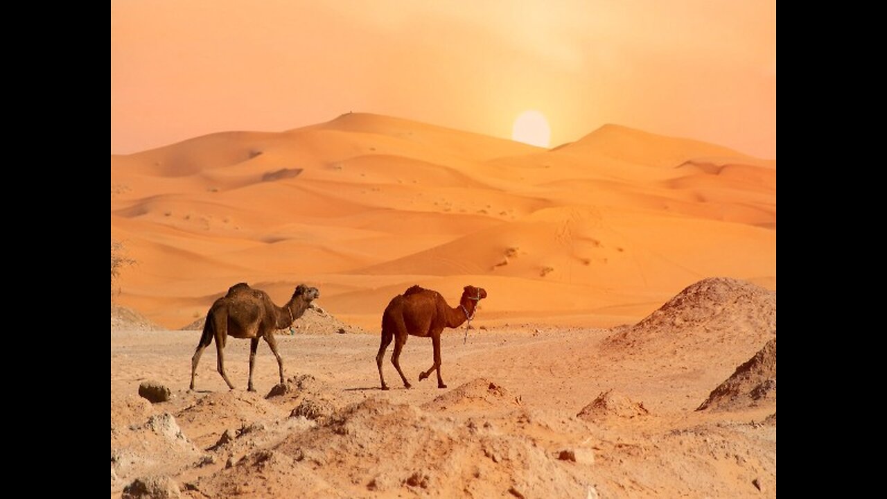 Content desert (abandon all hope ye who click here)