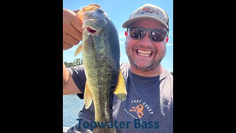 Topwater bass and the search for Fall Fishing transitioning fish.