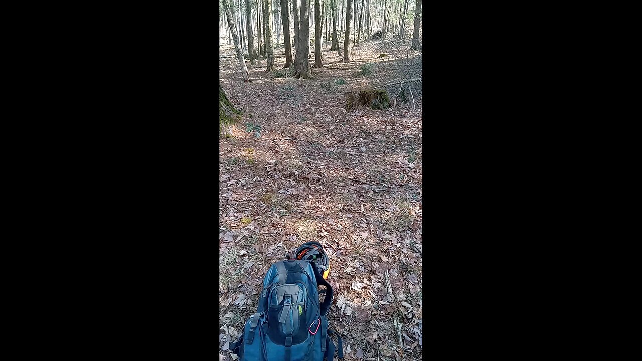 2024 shed season Catskill mountains