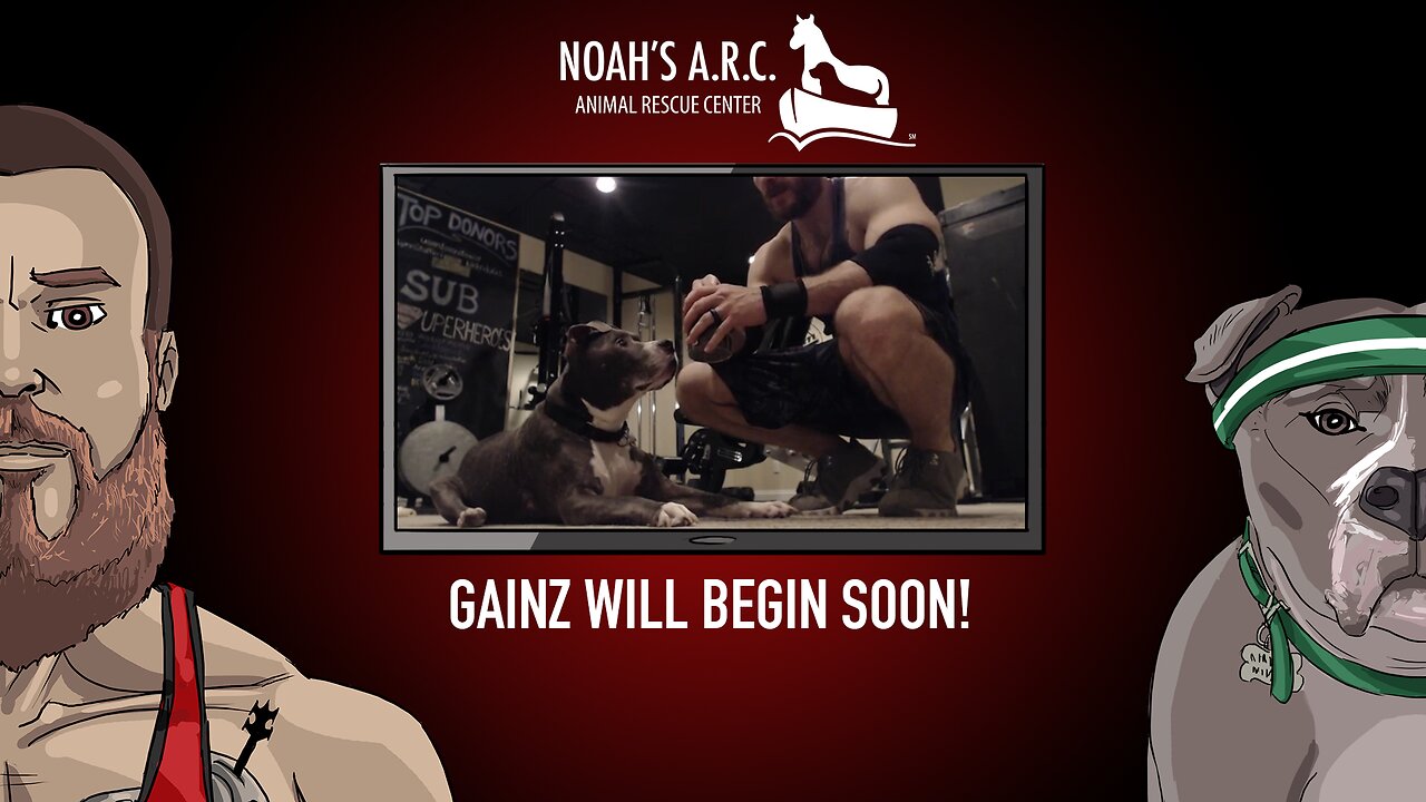 LBL Session w/Hank-a-Tank [Week 23] - Shoulders/Mobility/Abs // Animal Rescue Stream :)
