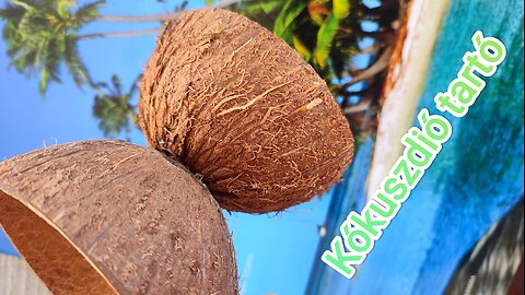 Coconut decor- Creative ideas