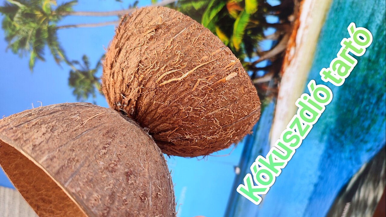 Coconut decor- Creative ideas