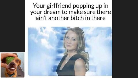 Memes That Will 99.0398% Make You Laugh. (e622)
