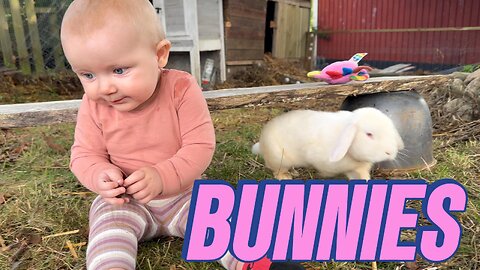 Baby Kayla's Bunny Cuddle Adventure: Heartwarming Moments Inside the Enclosure!