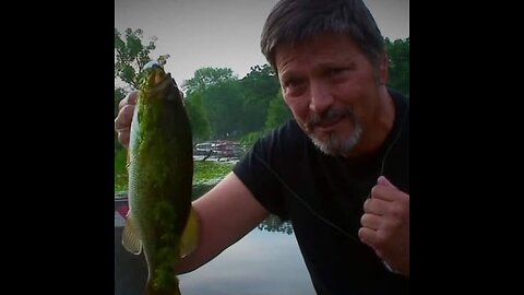 Outdoor Wild Bass Fishing and Conservation Mix Remake