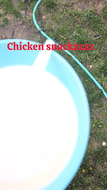 Gut healthy chicken snacks!