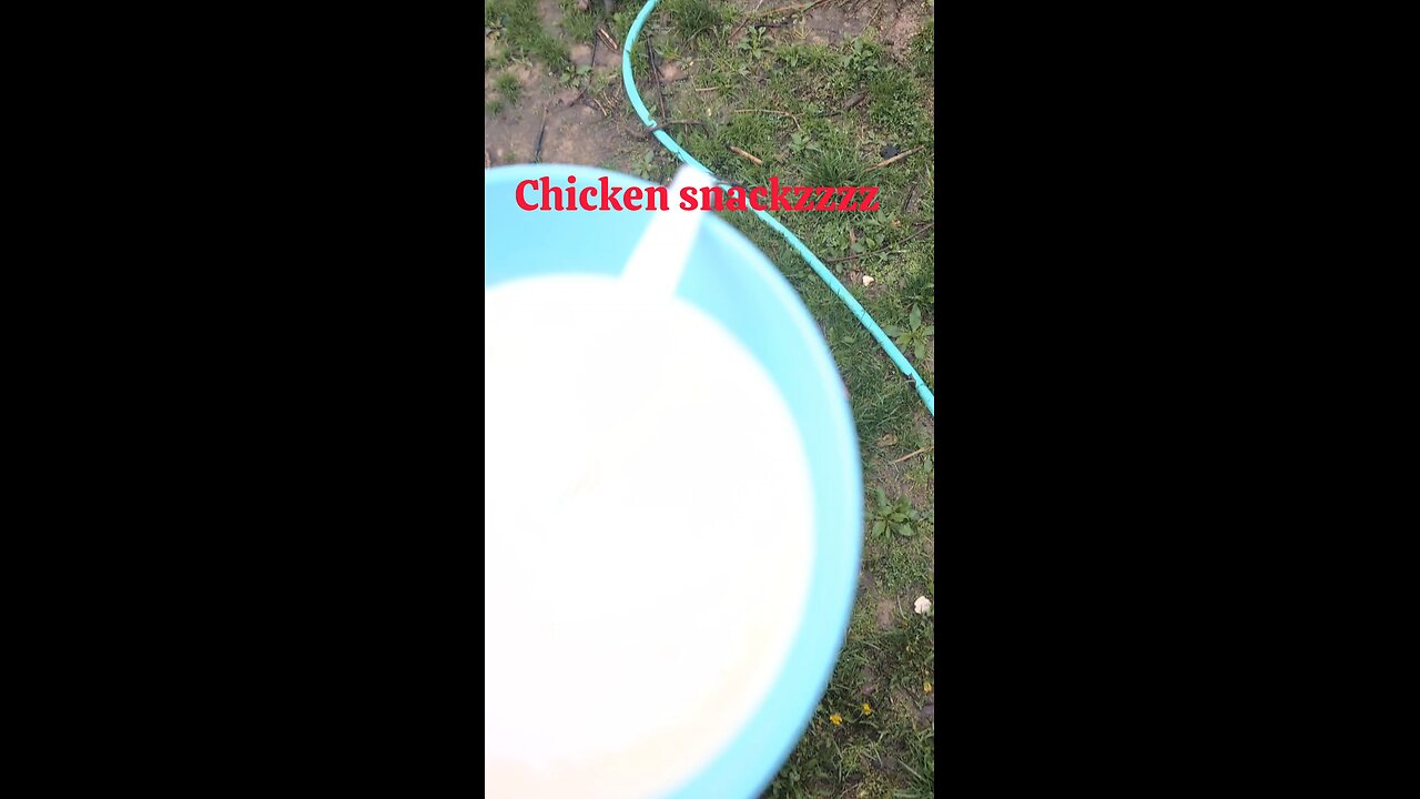 Gut healthy chicken snacks!