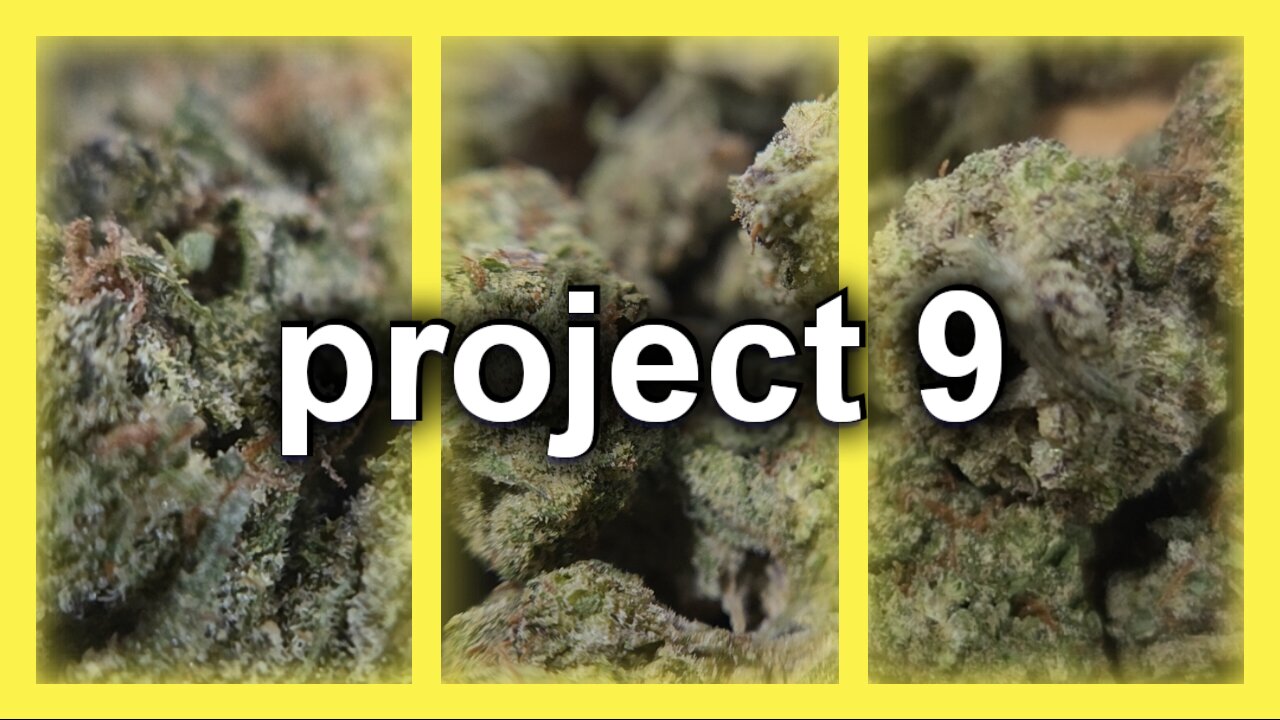Project 9 by JK Distro Review 🌿 | Honest Thoughts on This New Strain Legal Hemp