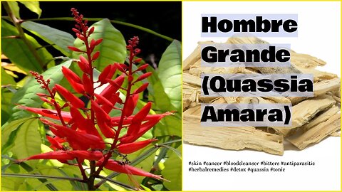 DR SEBI APPROVED HERB - HOMBRE GRANDE