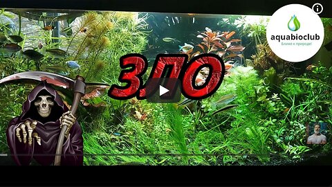 Аммиак, аммоний, нитрит в аквариуме. Что это такое и как с этим бороться?