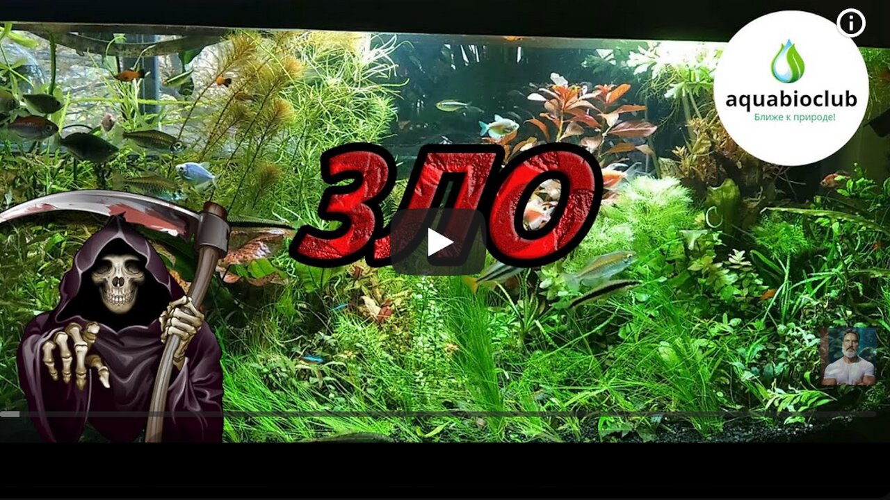 Аммиак, аммоний, нитрит в аквариуме. Что это такое и как с этим бороться?