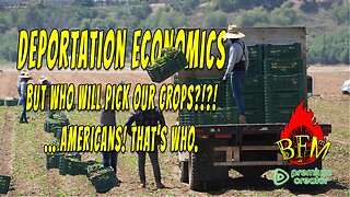 ICE Raids, Labor Gaps, and Falling Prices? The Real Economic Cost of Illegal Immigration