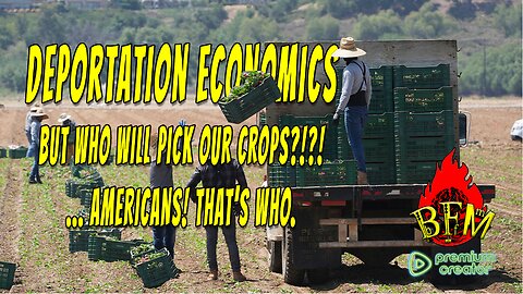 ICE Raids, Labor Gaps, and Falling Prices? The Real Economic Cost of Illegal Immigration