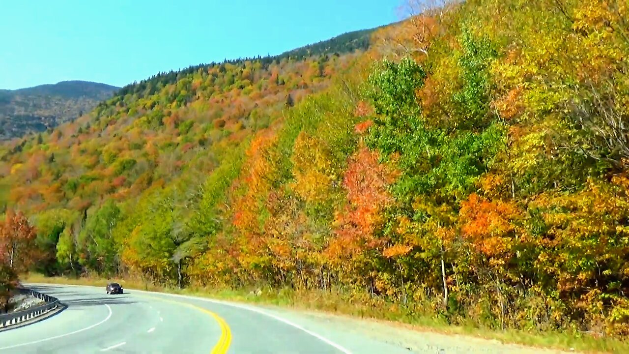 Fall Foliage