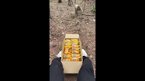 funny video