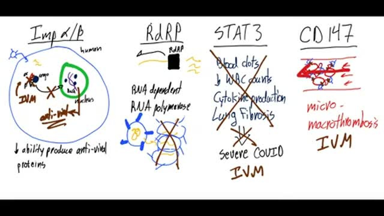 "Ivermectin Potentially Blocks SARS-CoV-2 Binding to Human Cells: COVID-19 Treatment"