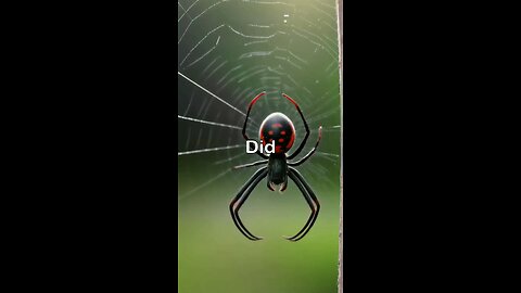 It's a spider secret