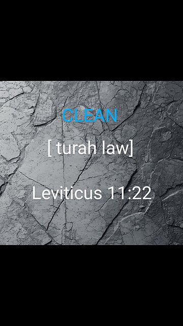 Entertainment: UNCLEAN Insects