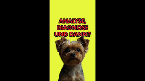 Die Diagnose beim Tierarzt ist erschreckend 😱