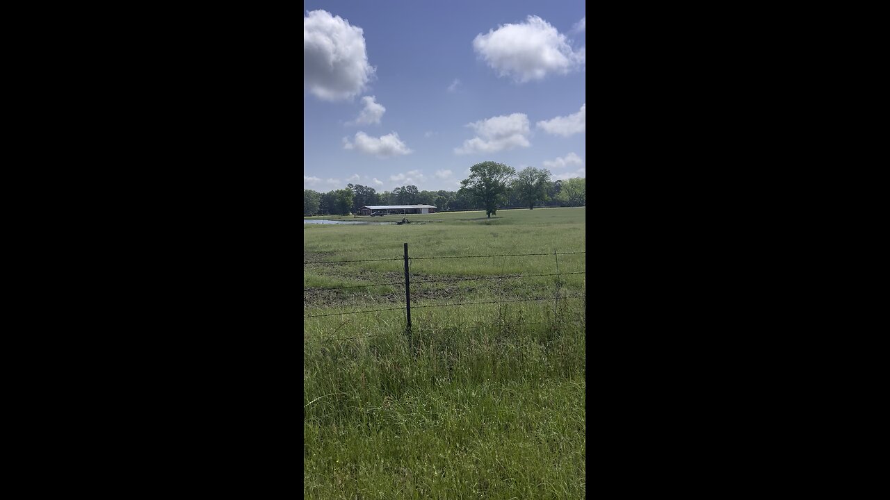 Family day at the farm.