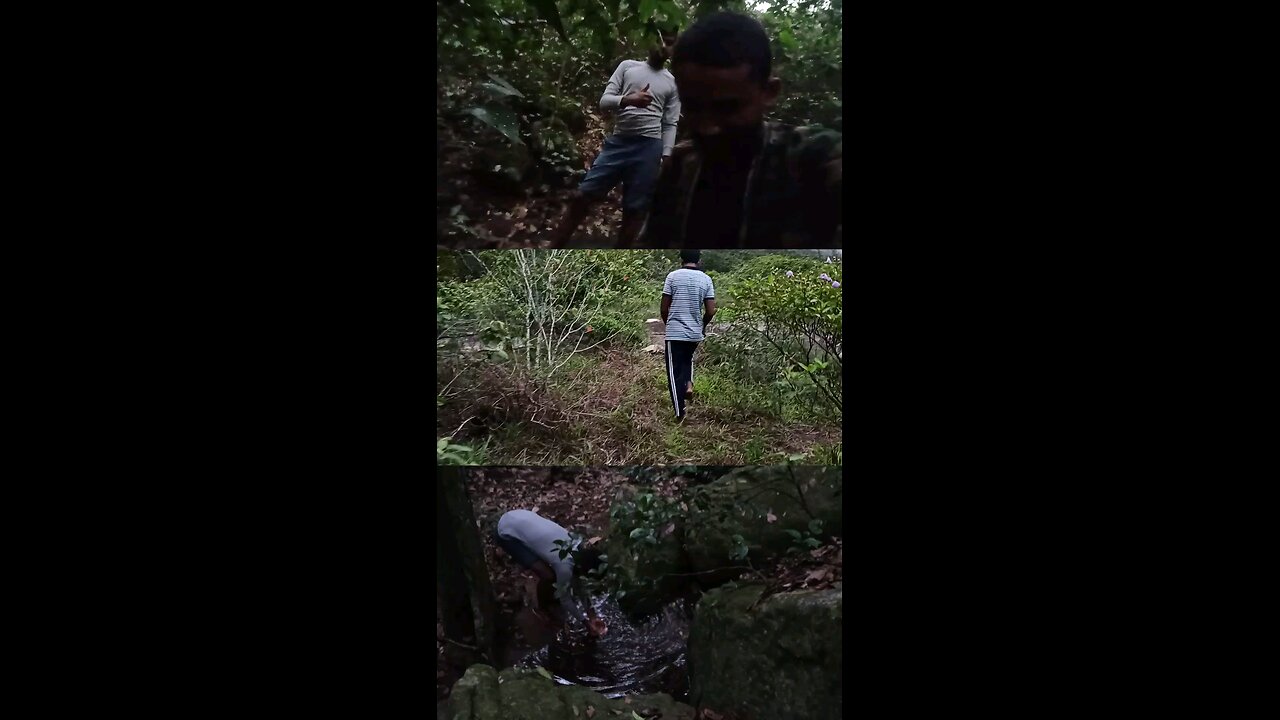 Hiking