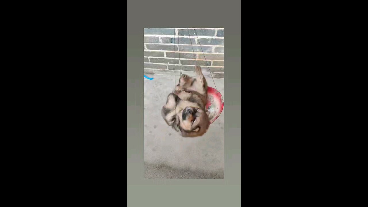 बड़ा मजा आ रहा है