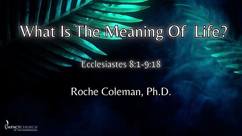 What Is The Meaning Of Life pt. 10 | Roche Coleman, Ph.D.