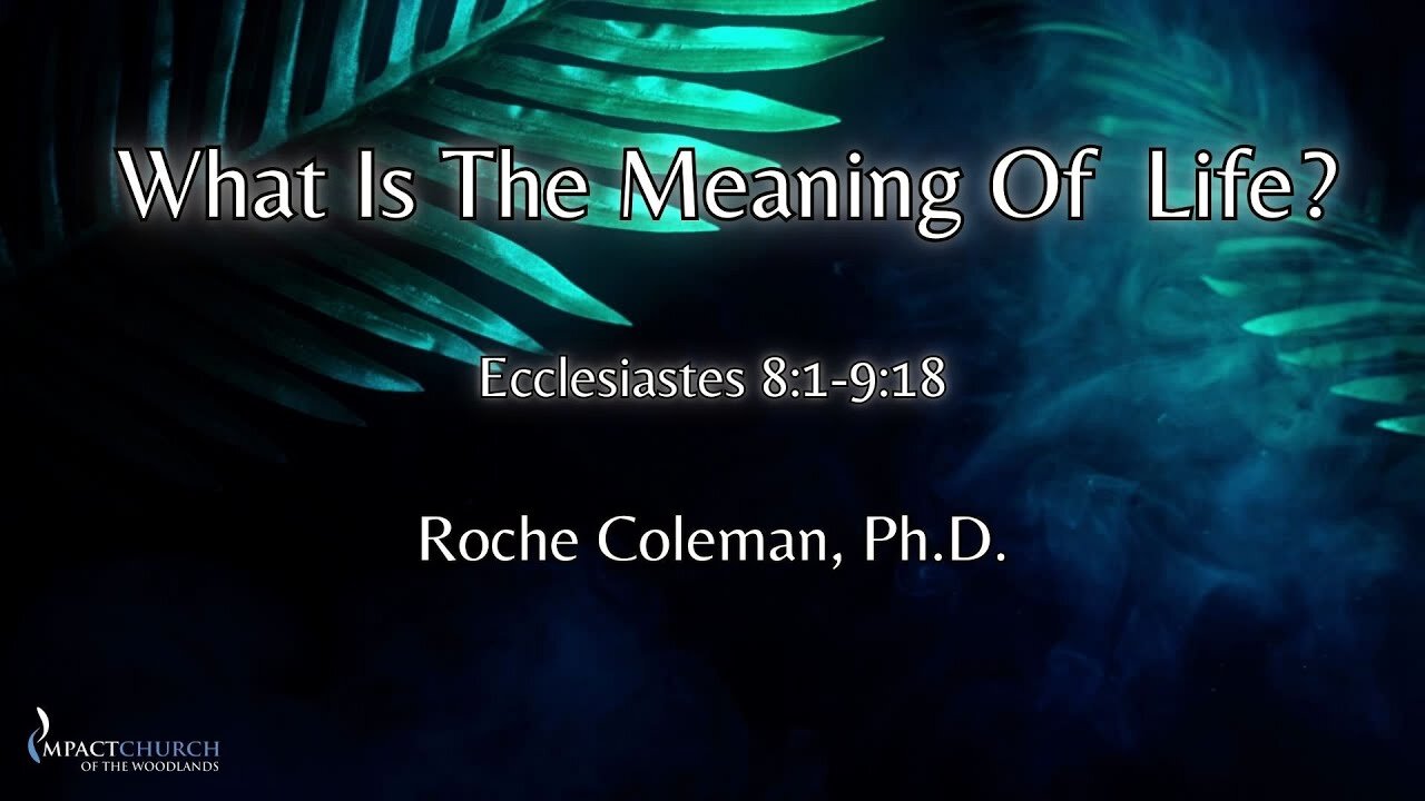 What Is The Meaning Of Life pt. 10 | Roche Coleman, Ph.D.