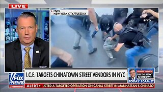 Well, well, well... 9 ILLEGALS Arrested on Canal Street WEREN'T Street Vendors, but CRIMINALS with rap sheets