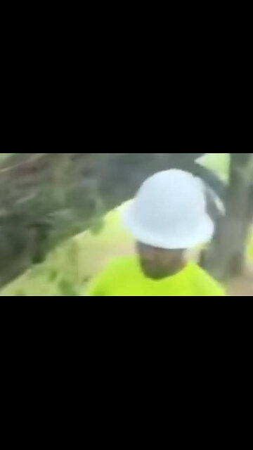 ICE Finds Illegals Hiding in Trees