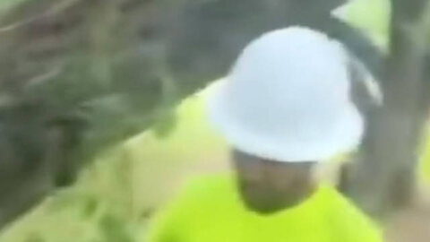 ICE Finds Illegals Hiding in Trees