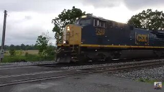 CSX Trains from Sterling, Ohio May 31, 2025 Part 1