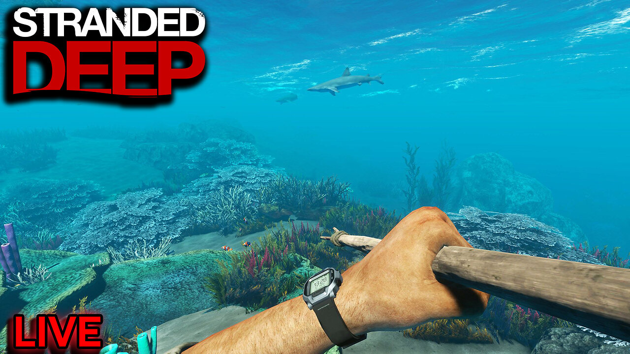 Stranded Deep - LIVE