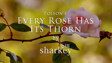Every Rose Has It's Thorn - Poison (cover-live by Bill Sharkey)